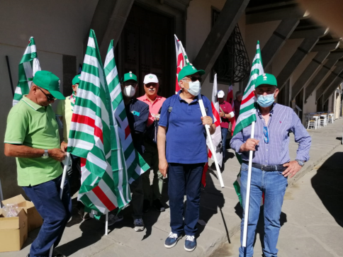 imm_556_eb309627-e4c5-4f4e-9069-5621ccec7da2.jpeg