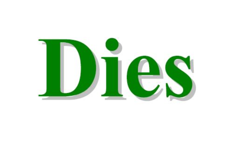 Dies - Numero 09