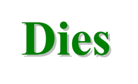 Dies - Numero 10