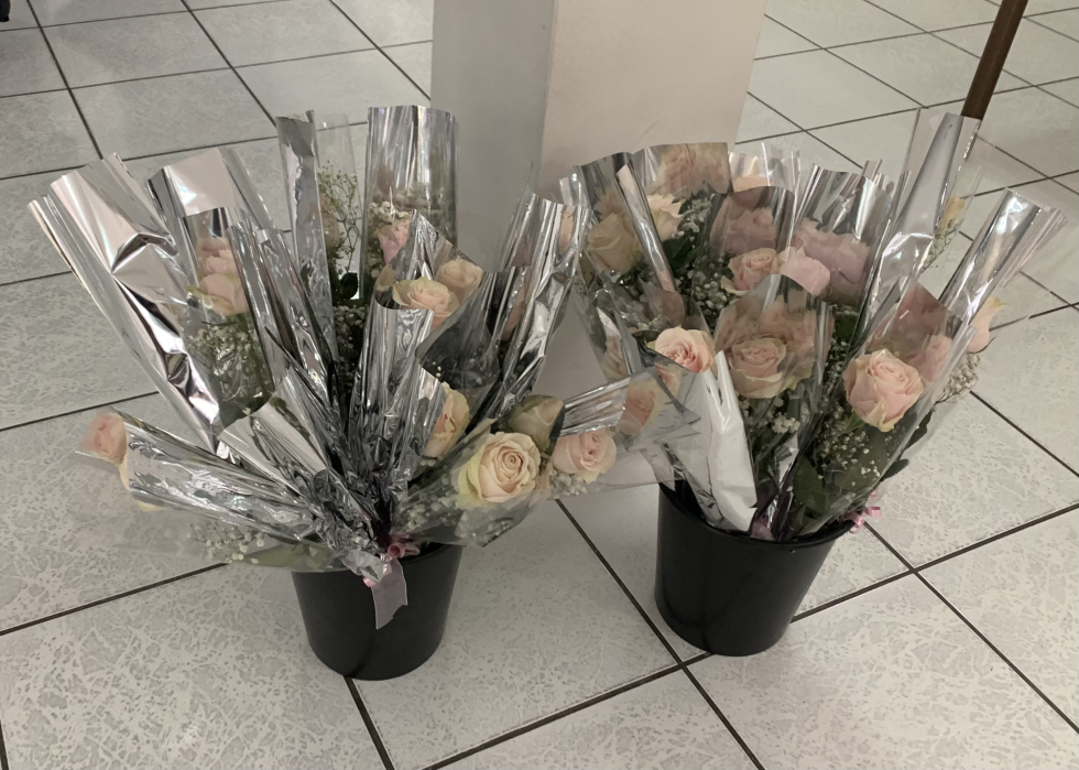 imm_6535_ed1173ab-988f-4cef-a6a7-ed0fec29aabb.jpeg